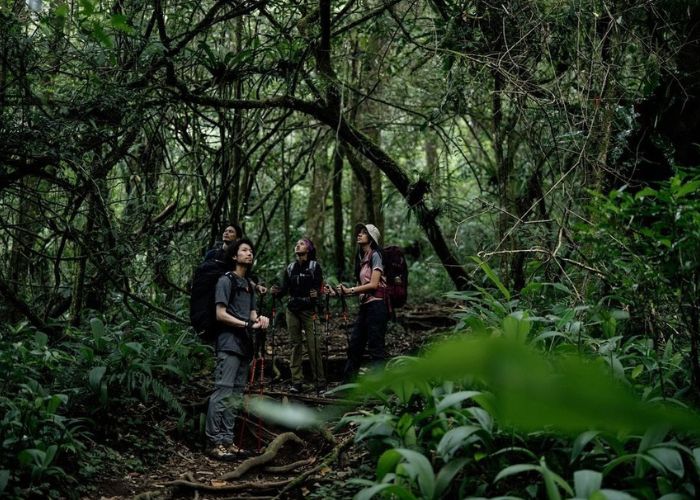 Menyusuri Hutan Tropis dengan Flora dan Fauna yang Kaya